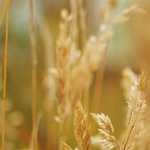 R7 Casino онлайн-казино: вывод 2025